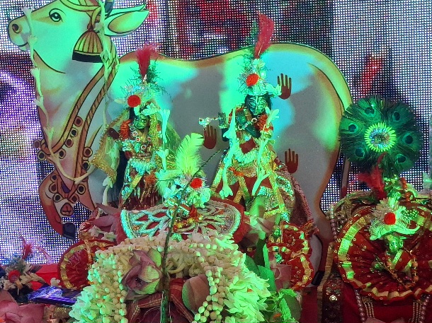 উল্টোরথ যাত্রার পূর্ণ লগ্নে ঠাকুর পুকুরের ধর পরিবার পালন করল গোপু সোনার প্রতিষ্ঠা বার্ষিকী