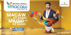Kartik Aaryan এবার ‘The Macaw Genie’, Macaw Paints-এর ফেস্টিভ ক্যাম্পেনে বাড়ির রঙিন ইচ্ছেপূরণে হাজির জাদুর ছোঁয়া